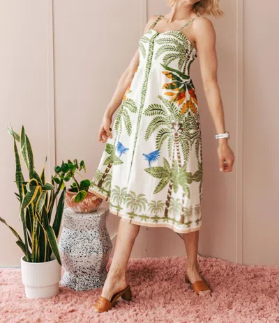 Aylaya Kennedy Midi Dress In Multi