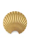 Aytm Concha Shell Wall Hook In Gold