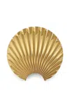 Aytm Concha Shell Wall-mounted Hook In Gold