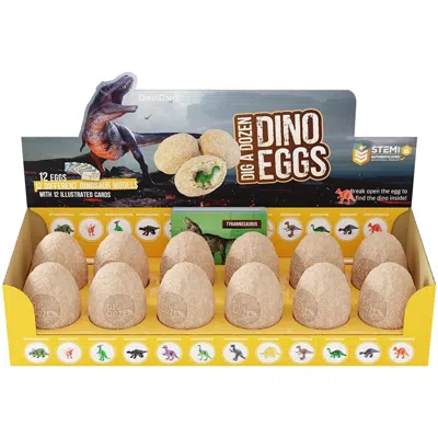 Az Trading One Dozen Dinosaur Fossil Egg Digging Kit