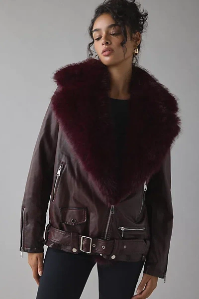 Azalea Wang Aurelia Faux Fur Trim Faux Leather Moto Jacket In Red, Women's At Urban Outfitters In Burgundy