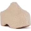Azalea Wang Dolorita Faux Shearling Clog In Cream