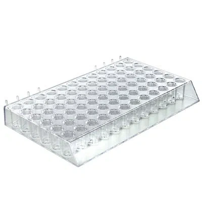 Azar Displays 72 Round Slot Lipstick And Mascara Tray For Pegboard / Slatwall / Counter, 2-pack In Clear