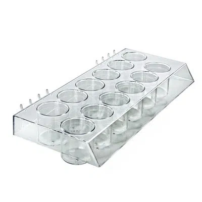 Azar Displays Molded 12-cup Display Tray, 2-pack In Clear