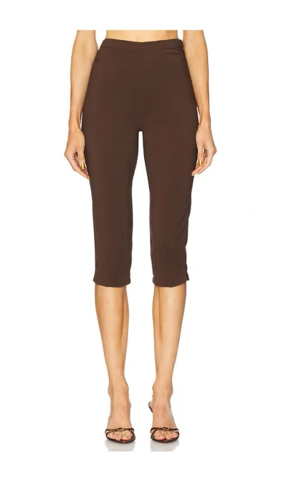 Azeeza Shreya Capri In Brown