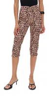 Azeeza Shreya Capri Pants Leopard In Brown
