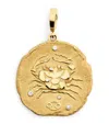 Azlee Large Yellow Gold And Diamond Cancer Coin Charm In Gold
