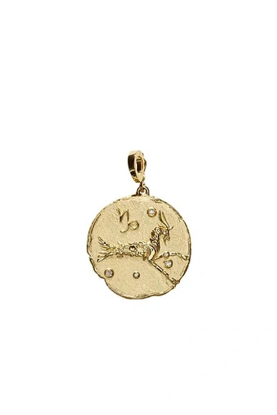 Azlee Of The Stars Capricorn Large Coin Charm