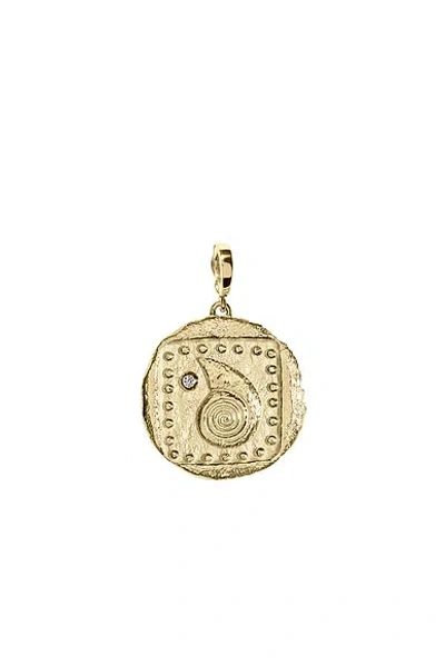 Azlee Spiral Seashell Coin