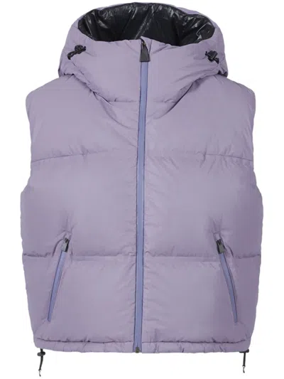 Aztech Mountain Snowbird Gilet In Purple