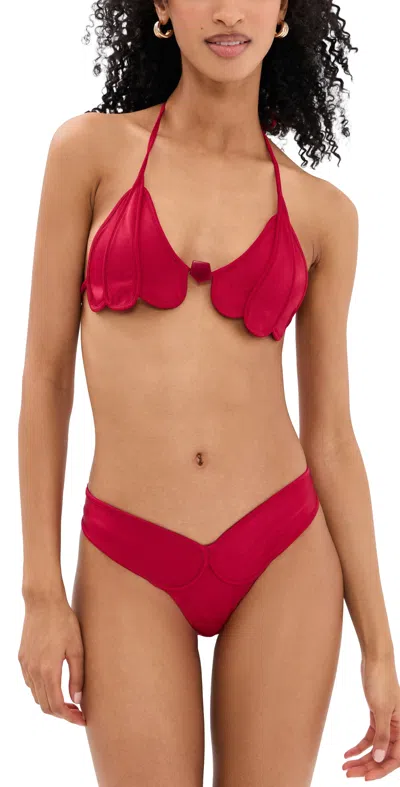 Azulu Coco Bikini Set Raspberry In Red