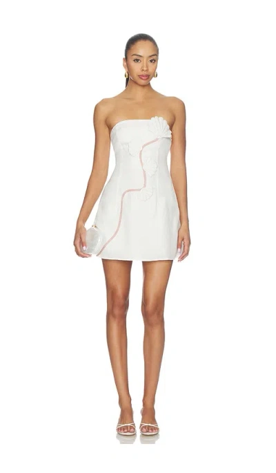 Azulu Dante Dress In Ivory