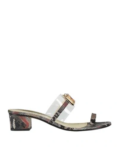 Azurée Cannes Woman Thong Sandal Lead Size 12 Leather In Grey