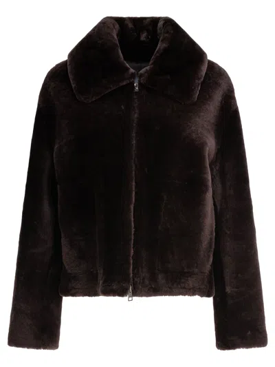 B&w Coats Brown