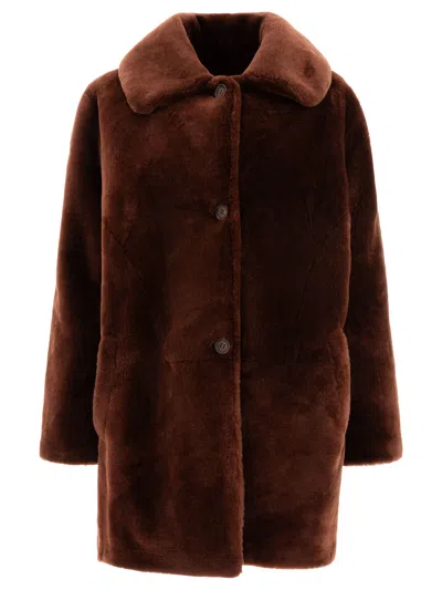 B&w Coats Brown