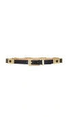 B-low The Belt Roma Belt In 黑色&金黄色
