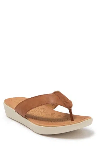 B O C By Børn Aimee Thong Sandal In Brown