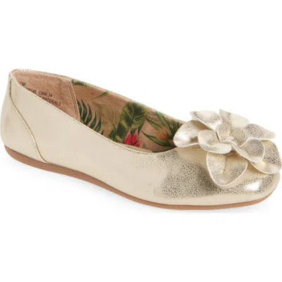 B O C By Børn Peony Flat In Gold