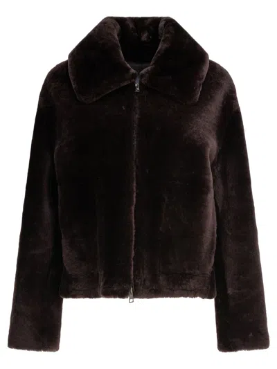 B&w Coats In Brown