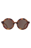 Babiators Kids' Euro Round Sunglasses In Brown