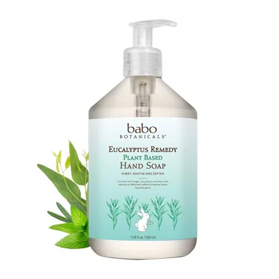 Babo Botanicals Eucalyptus Remedy Plant Based Hand Soap In White