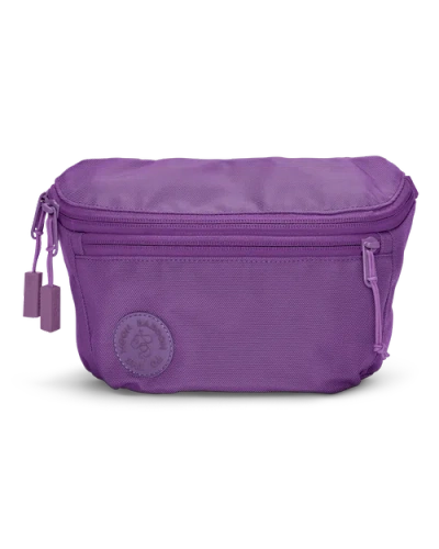 Baboon To The Moon Fannypack 3l In Purple