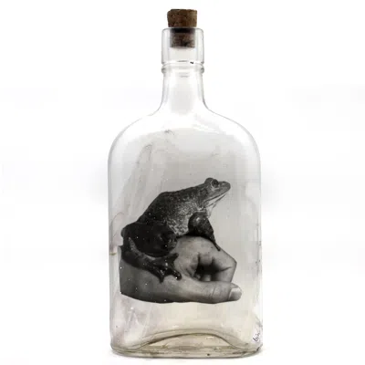 Babs Boutique Nyc Black Babs Hand-printed Frog Prince Charming Vintage Bottle Art