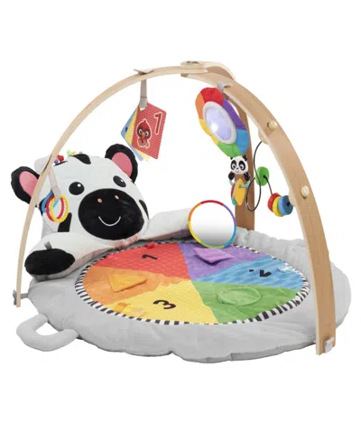 Baby Einstein Baby Zen's Activity Milestones Plush Gym