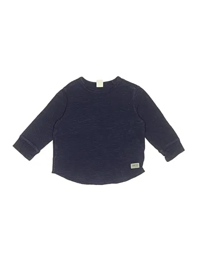 Pre-owned Baby Gap Kids' Pullover Sweater In Blue