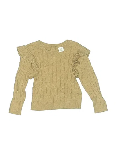 Pre-owned Baby Gap Kids' Pullover Sweater In Brown