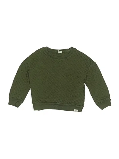 Pre-owned Baby Gap Kids' Pullover Sweater In Green