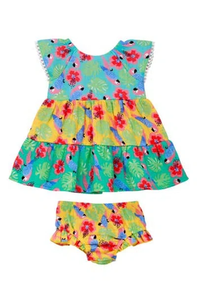 Baby Starters Tiered Ruffle Dress & Bloomer Set