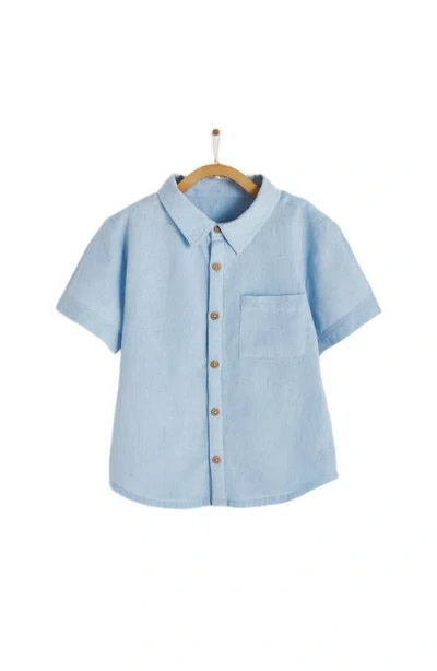 Babycottons Celebration Shirt In Pastel Blue