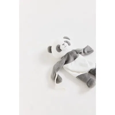 Babycottons Kids'  Little Panda 0 In Gray