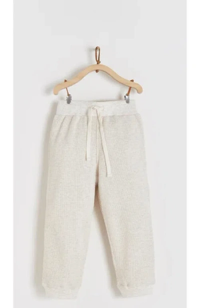 Babycottons Kids'  Pima Cotton Waffle Knit Pants Samoa In Neutral