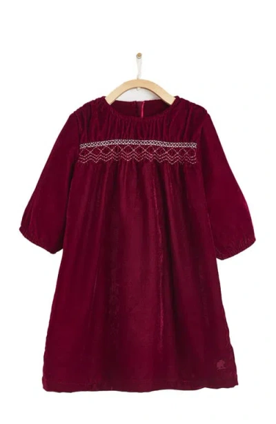 Babycottons Premium Cotton Christmas Lily Dress For Infant In Brown