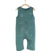 Babycottons Raj Zip Footless Pajama In Pastel Blue