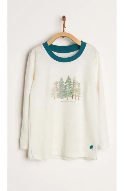 Babycottons Kids'  T-shirt Taylor Explorer In Multi