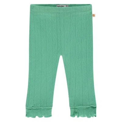 Babyface Pointelle Leggings In Green