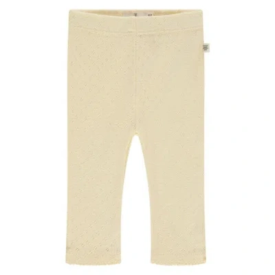 Babyface Pointelle Leggings In Neutral