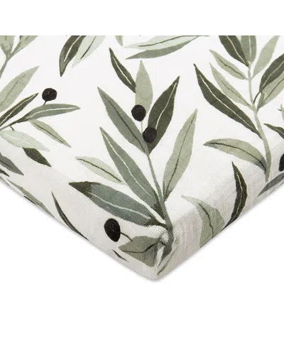 Babyletto All Stages Midi Crib Sheet In Gots Certified Organic Muslin Cotton In Olive Branches