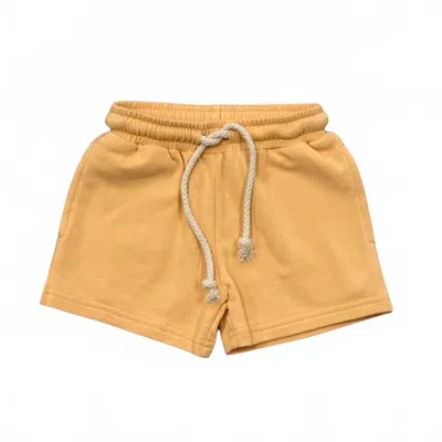 Babysprouts Kids' Boy's Everyday Shorts In Desert Mist In Gold