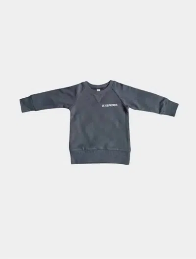 Babysprouts Kids' Boy's Lil' Explorer Raglan Sweatshirt In Grey In Blue
