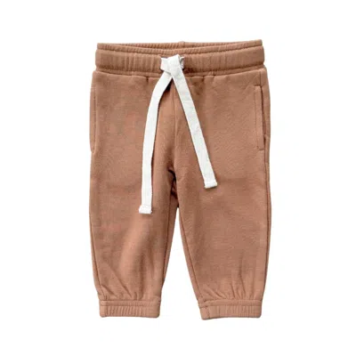 Babysprouts Kids' Boys' Elastic Waistband Joggers In Carmel In Multi