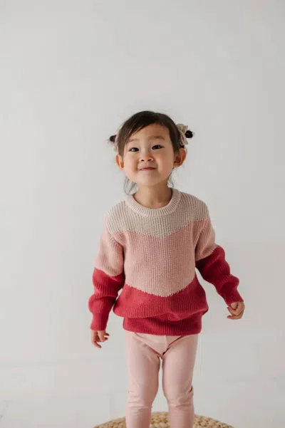 Babysprouts Kids' Colorblock Knit Sweater In Pink