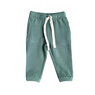 Babysprouts Kid's Drawstring Jogger In Pine In Silver