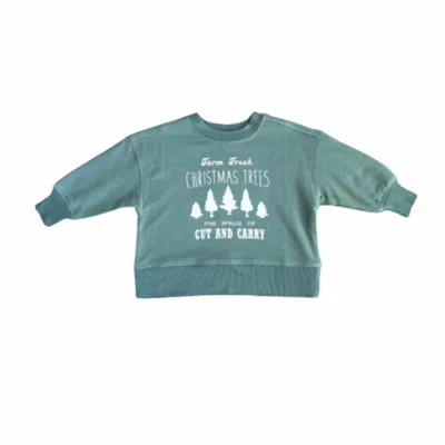Babysprouts Kid's Farm Fresh Christmas Trees Boxy Sweatshirt In Green In Blue