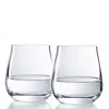 Baccarat Chateau Set Of 2 Tumblers