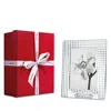 Baccarat Clear Eye Frame, 4 X 6 In White