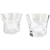 Baccarat Crystal Beluga Tumbler Number 3 (set Of 2) In N/a